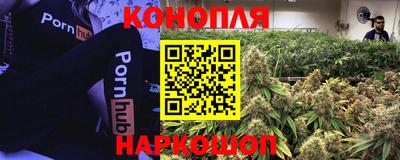 гидра Абакан